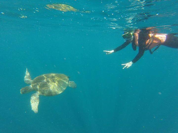 Sipadan Micro Dive Mabul Island Bagian luar foto